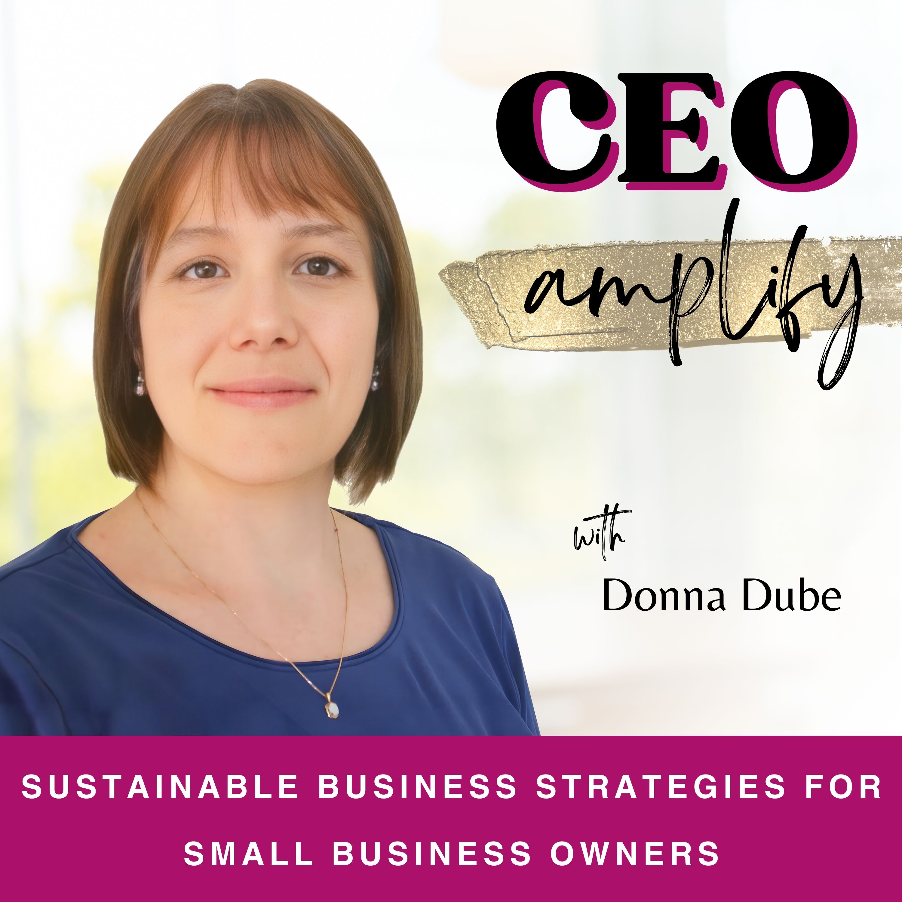 CEO Amplify | Sustainable Business Strategies for Small Business Owners